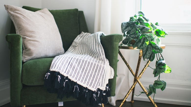 Green velvet chair with blanket