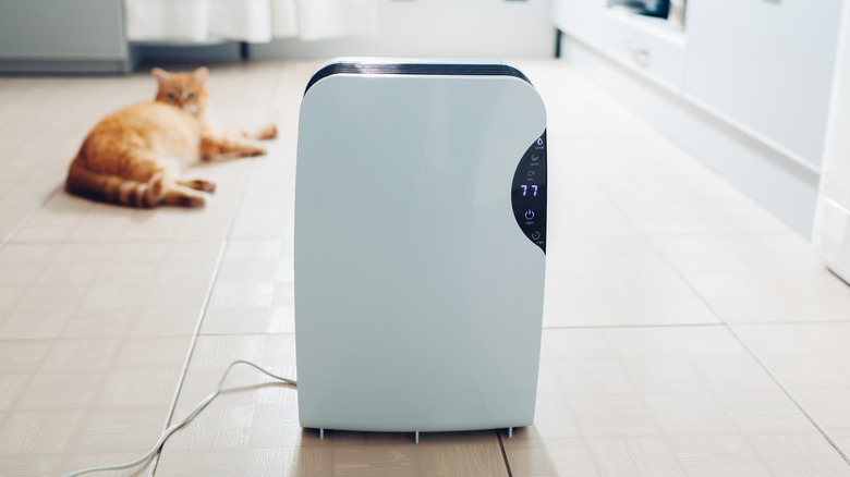 Dehumidifier sitting on a floor with tabby cat in the background