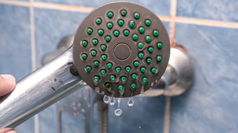 A calcified showerhead