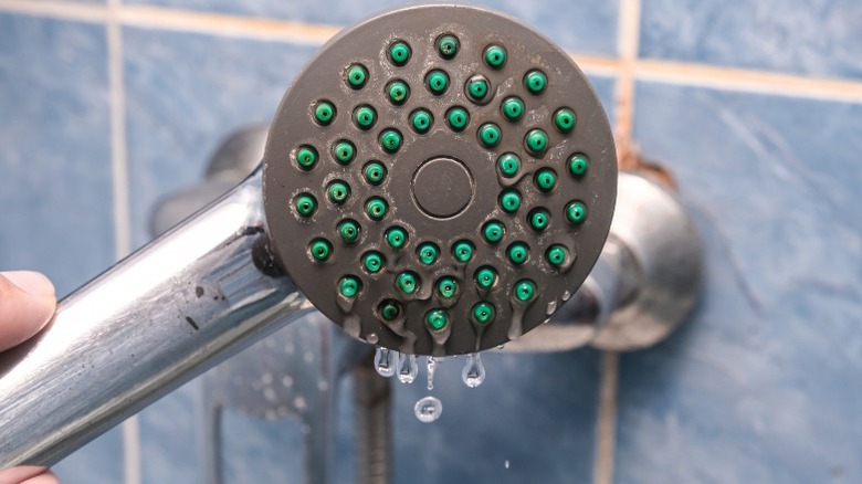 A calcified showerhead