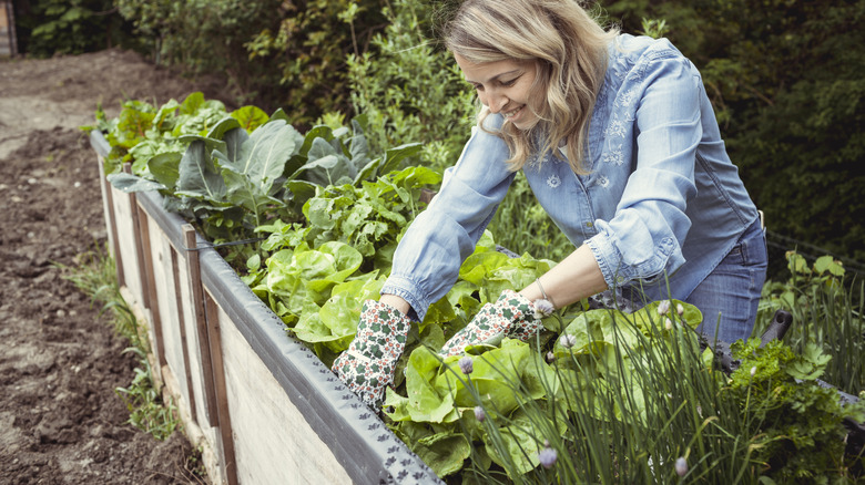 woman working in garden bed