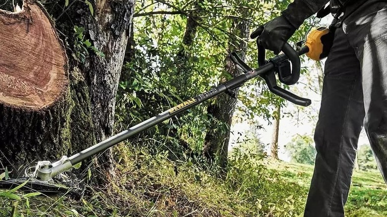 Person using a DeWalt string trimmer near a tree stump