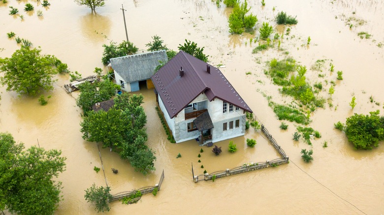 house surrounded by murky water