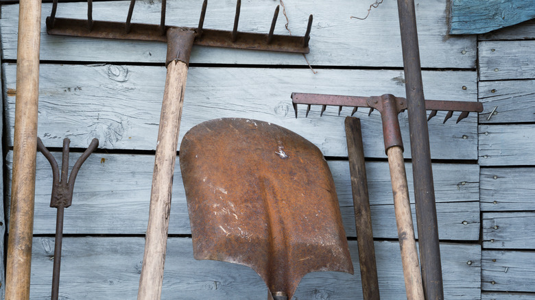 Rusted, old yard tools lean against an outdoor wall