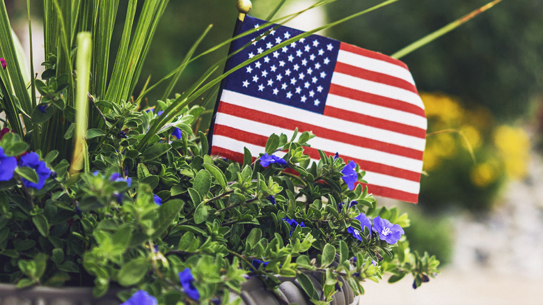 flag in planter with flowers