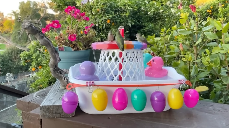 hummingbirds enjoying a colorful bath on a DIY water fountain