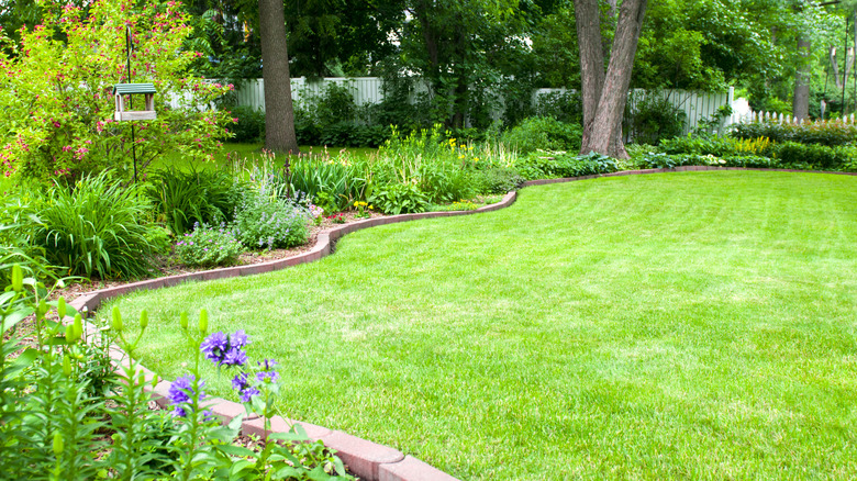 A yard features grass lawn and garden beds separated by brick edging