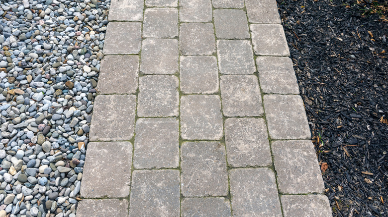 A paver walkway between pea gravel and mulch