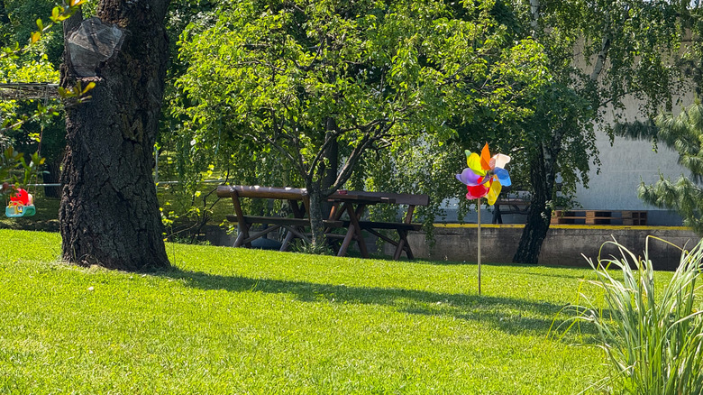 A colorful pinwheel standing in the grass under a tree in a backyard.