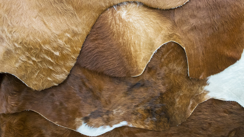 Multiple cowhide rugs laying on top of one another