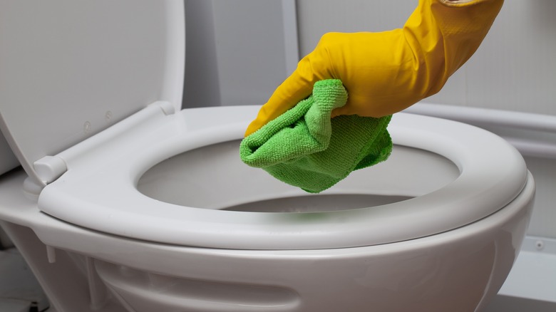 Hand with rag in toilet