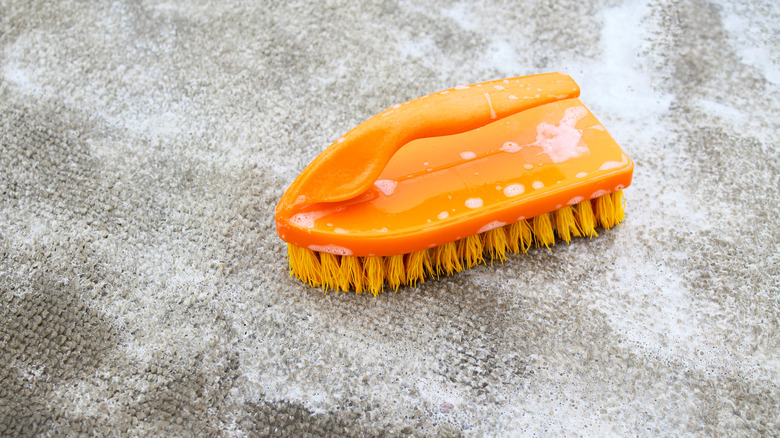 brush on carpet