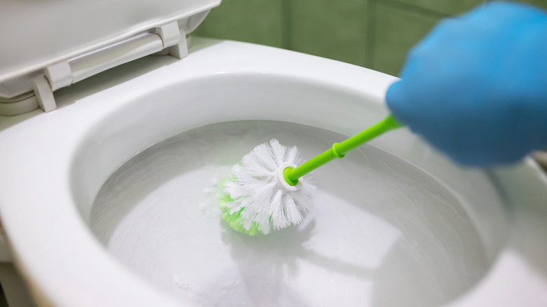 Someone scrubbing their toilet
