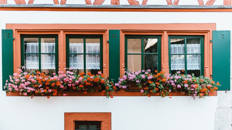 house with exterior windows