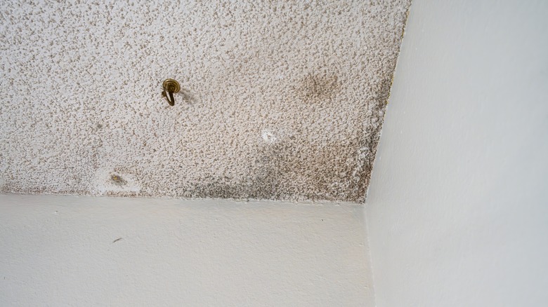 Mold stains on a popcorn ceiling.
