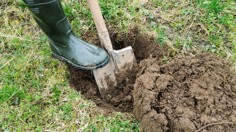 Person digging a hole