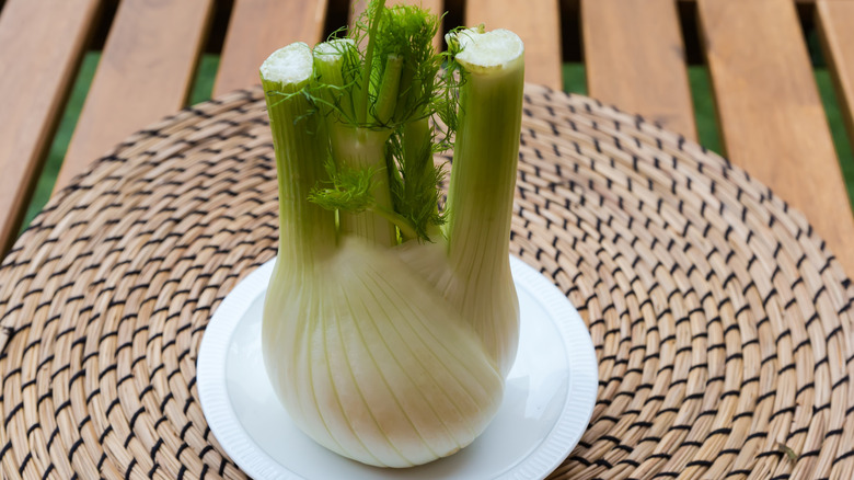 A fennel bulb with small sprouts sitting on a small white dish on a wooden slat table