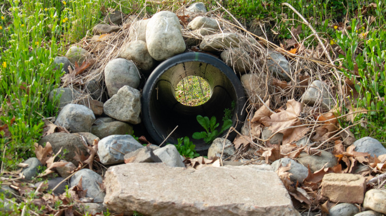French drain under rocks
