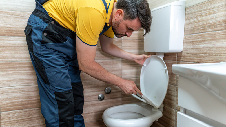 man DIYing toilet seat in bathroom