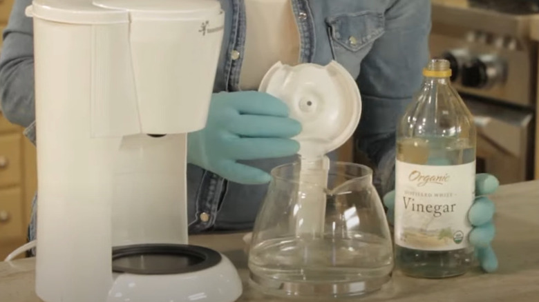 woman cleaning coffee maker with vinegar solution