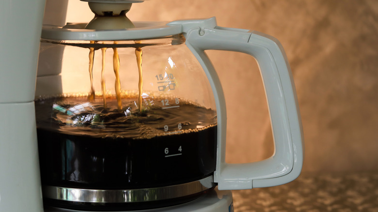 coffee brewing in an automatic coffee maker