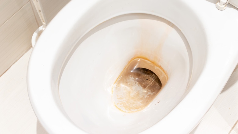 Rust in toilet bowl