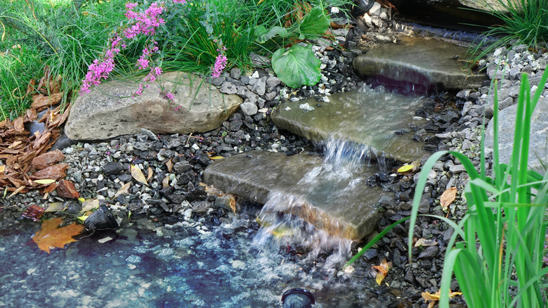 Native plants and wild flowers grow along the edge of a small waterfall and stream in a backyard.