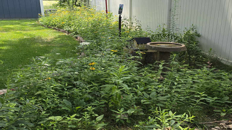 A backyard with a pocket prairie garden and wildlife-friendly features.