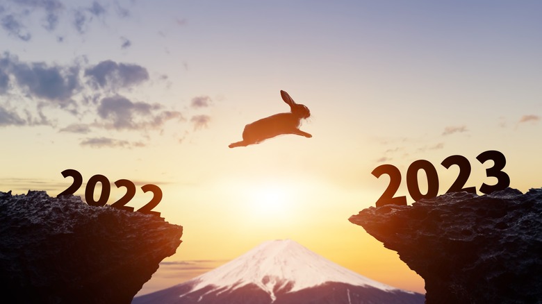 rabbit jumping over mountain