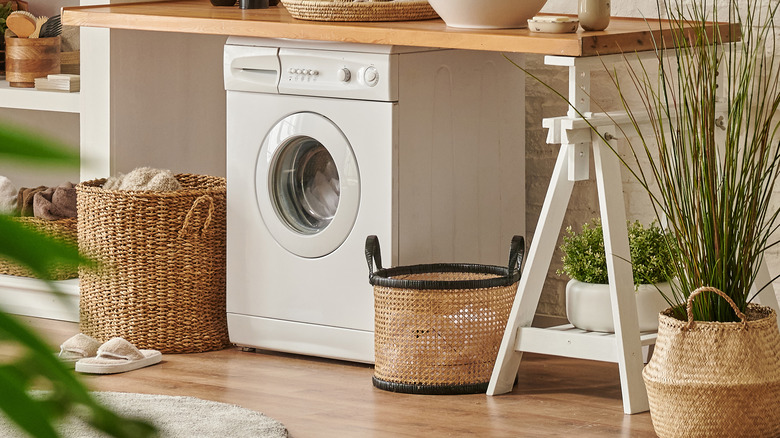 plants in laundry room