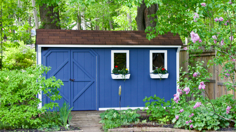 Blue she-shed