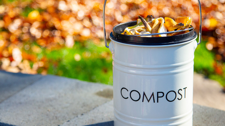 A compost bin filled with bananas outside on top of a gray wall in the fall with leaves in the background.