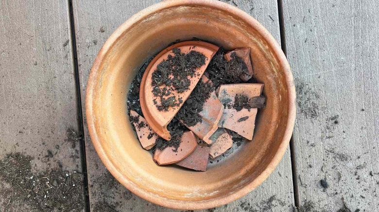 Pieces of broken crockery in the bottom of a large planter