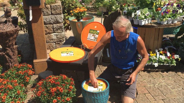 Nursery employee places a pot insert in a large planter.