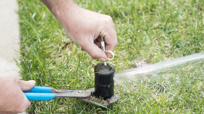 Person performing sprinkler head maintenance