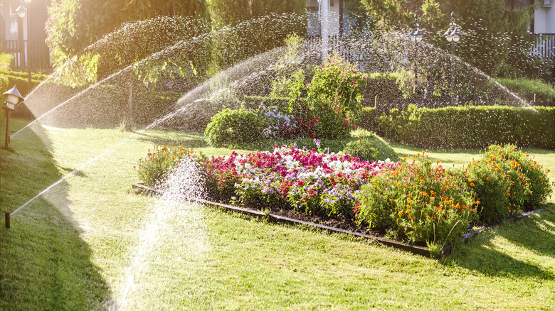 Multiple sprinklers spraying lawn