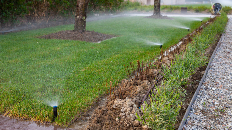 Yard with sprinkler system