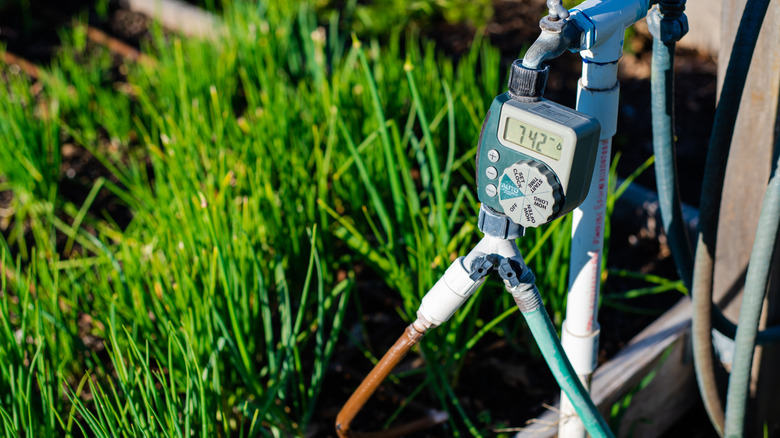 Sprinkler timing device