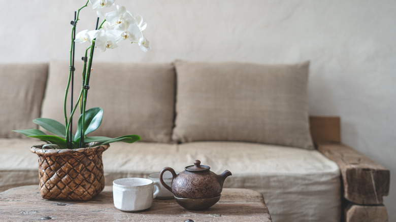 Sagging sofa in living room