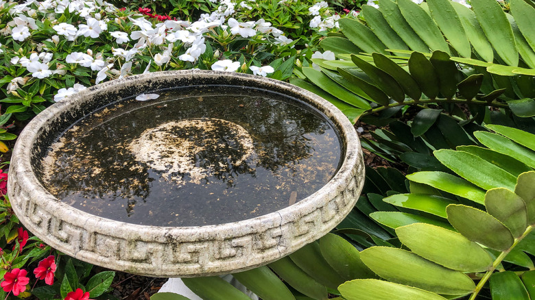 dirty and uneven bird bath in garden