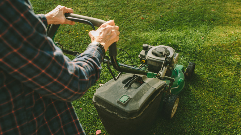Person in plaid shirt pushes lawn mower