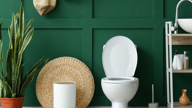 White toilet in green bathroom