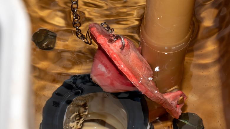 A damaged rubber flapper valve