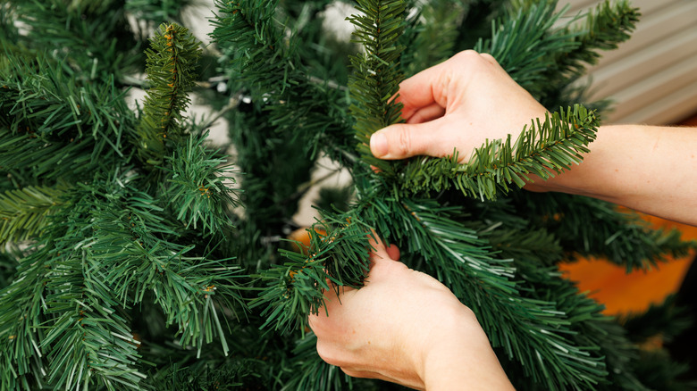 Hands fluffing out the branches of an artificial Christmas tree.