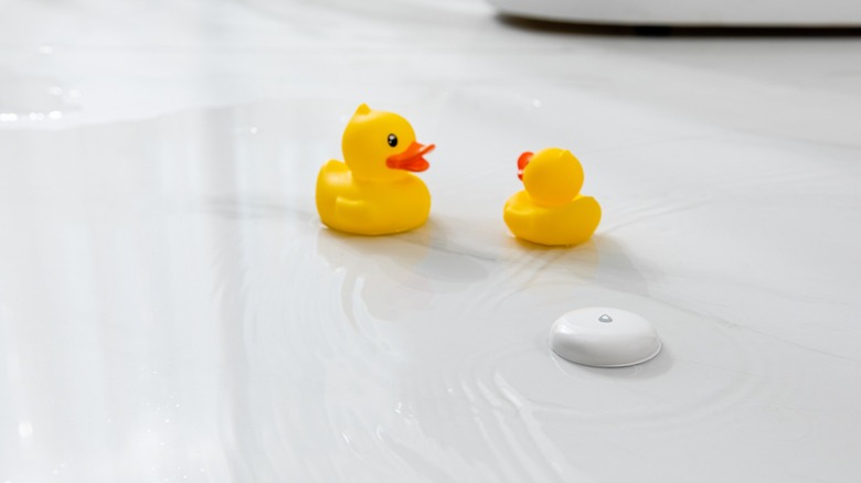 rubber duckies on a floor covered in water next to small white water leak sensor
