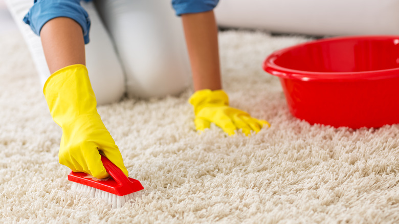 Person scrubbing carpet