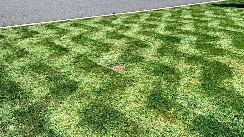Lawn with mowed zigzags 