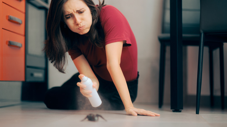 A woman spraying a spider with insecticide