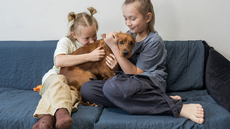 Two young girls petting a dog while sitting on a sofa