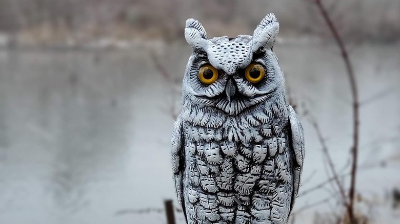 outdoor owl statue with barren lake in background